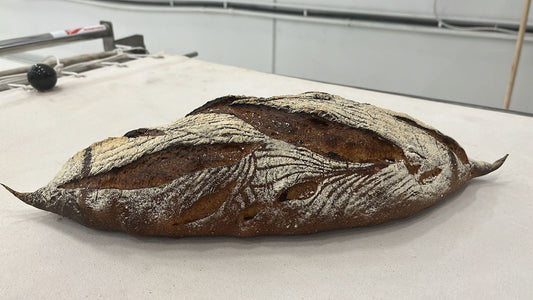 WALNUT AND RAISIN RYE SOURDOUGH BATARD